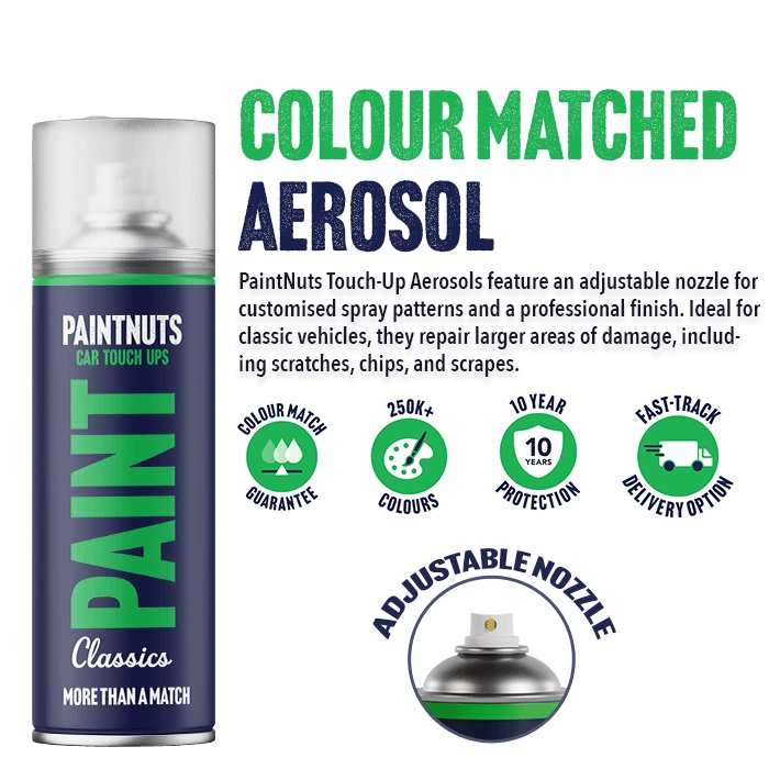 Touch Up Aerosol for Classic Cars
